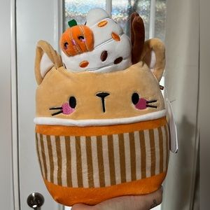 Cinda the pumpkin spice cat NWT